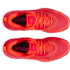 CURRY 3Z 24 SDE-RED RED-862