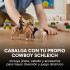 Set Figuras Granja Granjero Caballo Vaca Perro Schleich Set Figuras Granja Granjero Caballo Vaca Perro Schleich