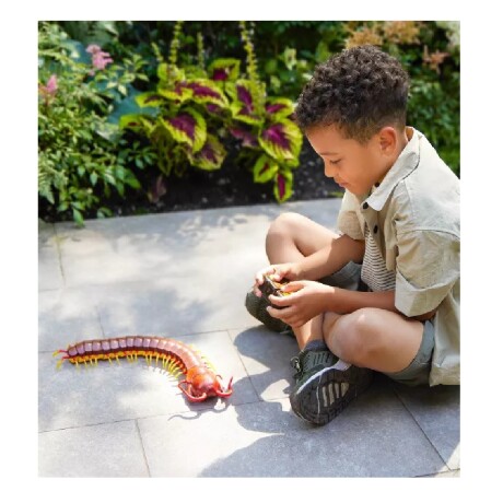 Ciempies a control remoto marron