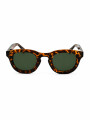 LENTE MILAN MARRON