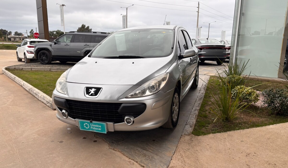 Peugeot 307 1.6 XR - 2006 Peugeot 307 1.6 XR - 2006
