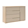 Cómoda Zapatera Concept - 4 cajones 1 puerta Hanover