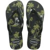Sandalias Havaianas Aloha Hombre Verde Oliva