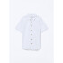 CAMISA MM MASC CAQUI ESCURO