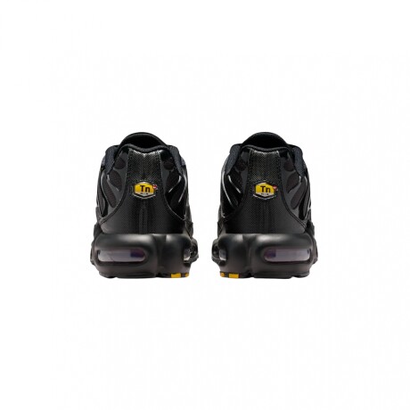 Championes Nike Air Max Plus Gray