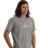 Remera Quiksilver Logo Gris