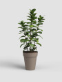 MACETA ALTA CAPRI HIGH POT 46 TAUPE