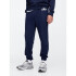 V-FRCH FT HERITAGE LOGO JOGGER B85 CHARCOAL HEATHER XXL TAPESTRY NAVY V2