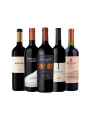 Pack Bacán Selección x5 vinos Elegidos del Mes Pack Bacán Selección x5 vinos Elegidos del Mes