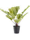 Planta artificial ROLF H55cm verde Planta artificial ROLF H55cm verde