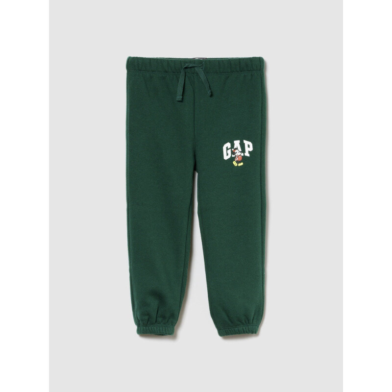 V-FRCH DISLOGO X GAP FAM JGR EVERGREEN GLAMOUR