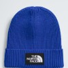 Gorro kids TNF Logo Box Cuffed Beanie Tnf Blue
