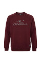 Buzo O'Neill Daily Wave Crewneck Rojo