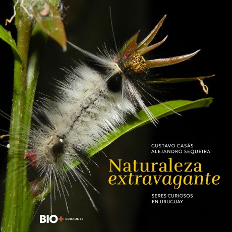 NATURALEZA EXTRAVAGANTE NATURALEZA EXTRAVAGANTE