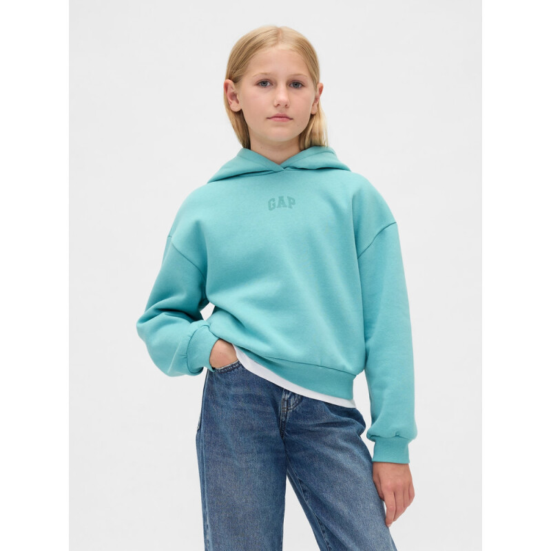 VTG SOFT LOGO PO_FA25 FROSTBITTEN BLUE