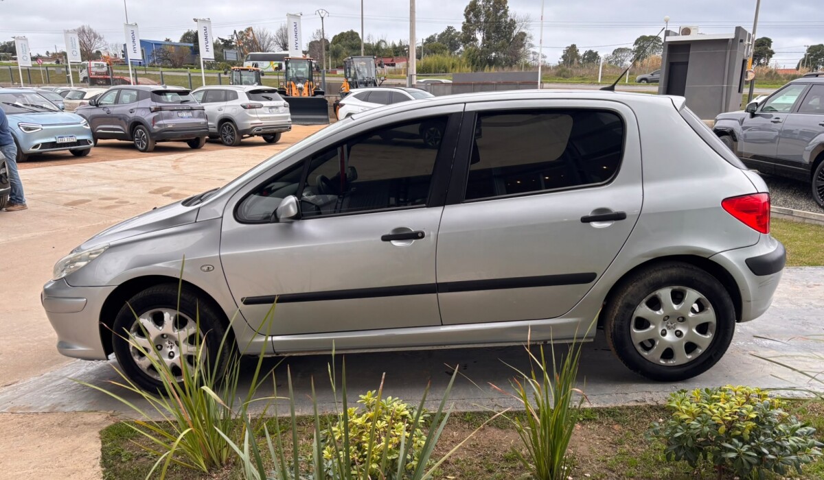 Peugeot 307 1.6 XR - 2006 Peugeot 307 1.6 XR - 2006