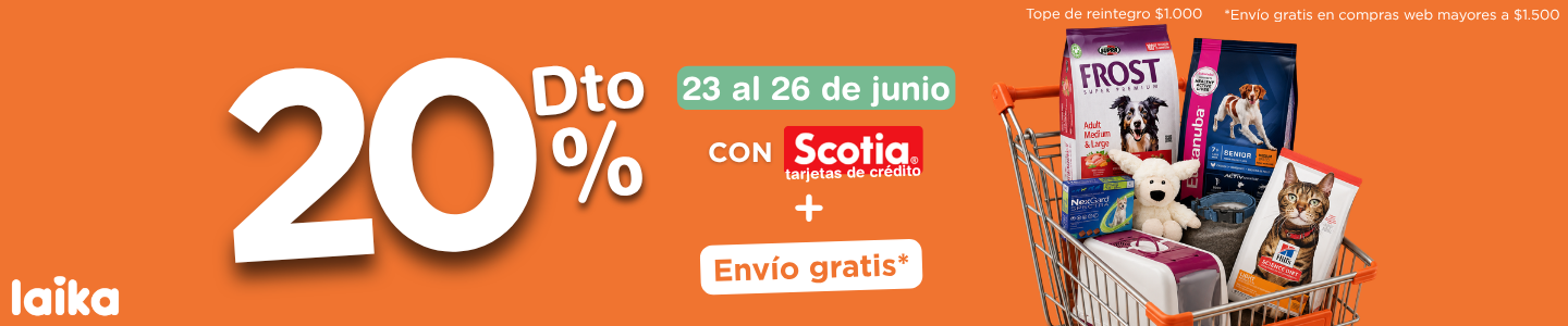 20% OFF SCOTIA - JUNIO