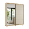 Ropero 2 puertas corredizas con espejo Sierra - Moderna Ropero 2 puertas corredizas con espejo Sierra - Moderna