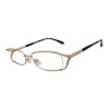 SZ072639 doradouniforme
