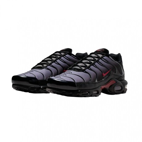 Championes Nike Air Max Plus Gray