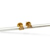 Caravanas Osos oro - Oro bajo - Zirconia - CA8142 conpiedra