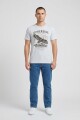 Camiseta estampada Águila GRIS MELANGE