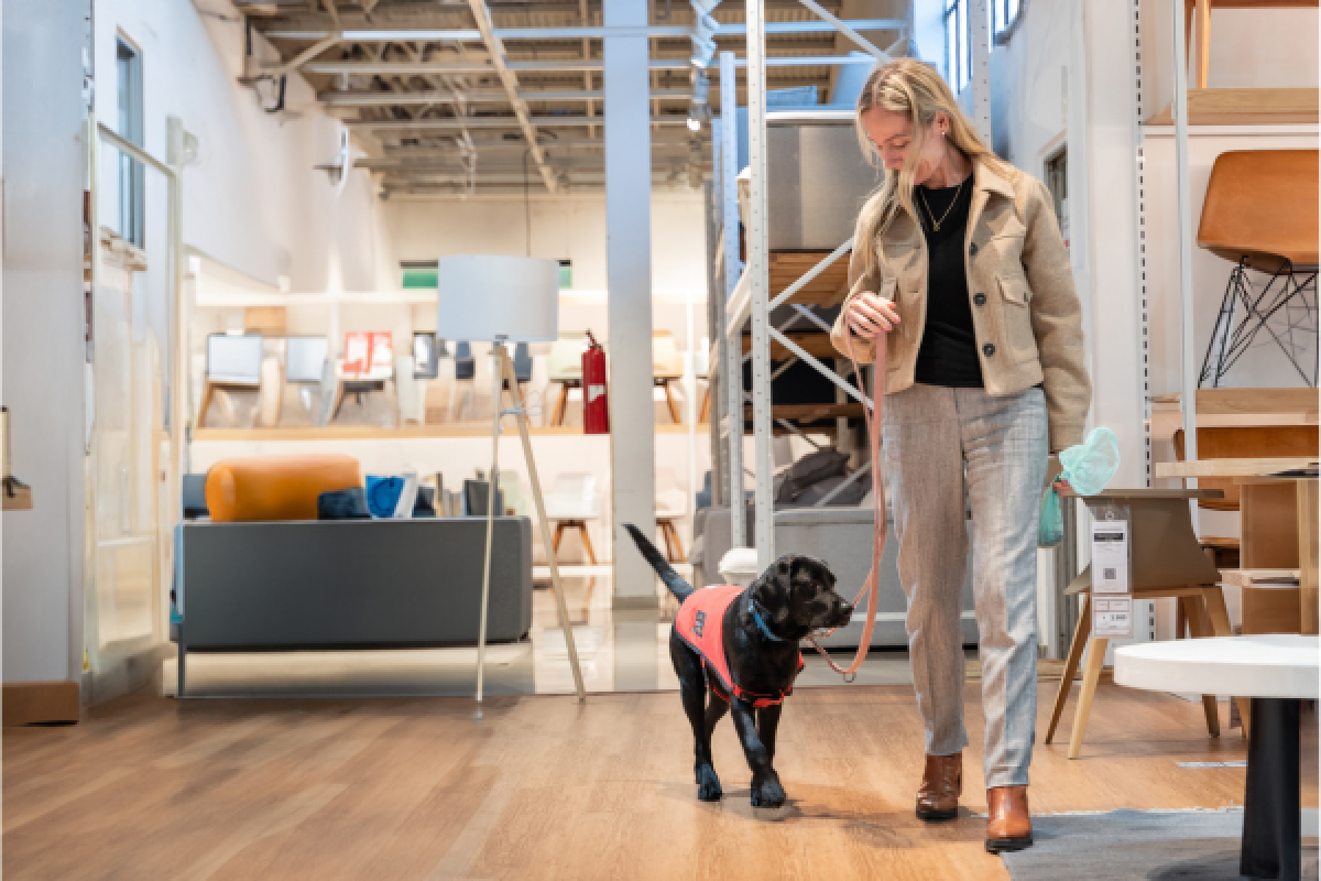 ¿Cómo es socializar un perro guía? La historia de Inés y de Willow