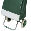 Carro de Compras con Ruedas Verde