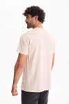 Remera Havoc Crudo