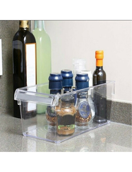 ORGANIZADOR PS 31X18X15CM TRANSPAREN ORGANIZADOR PS 31X18X15CM TRANSPAREN