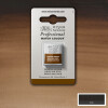 Acuarela profesiona Half Pan - Winsor & Newton Tonos Tierra