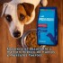 VITAL CAN PREMIUM PERRO ADULTO RAZA PEQUEÑA 7.5 KG VITAL CAN PREMIUM PERRO ADULTO RAZA PEQUEÑA 7.5 KG