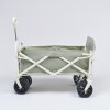 S61BC Carro De Playa Sunnylife - Seagrass Sage
