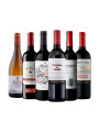 Pack Bacán Selección Mundialista x6 vinos Para abrir la cancha Pack Bacán Selección Mundialista x6 vinos Para abrir la cancha