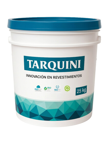 TEXTURA TARQUINI RAYA FINO GRIS TORMENTA 25KG N/A