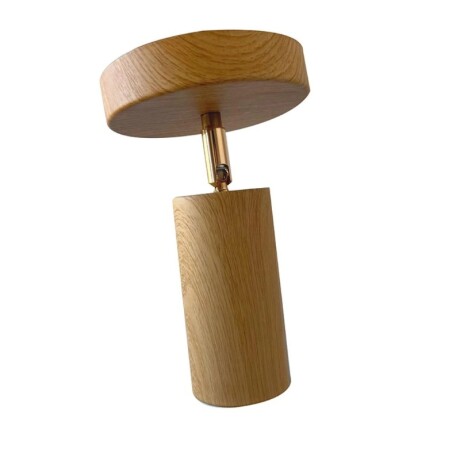 LUMINARIA DE ADOSAR ORIENTABLE LOTO 1 Luminaria para Techo Orientable Loto 1