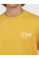 Remera O'Neill Cali Logo Amarillo