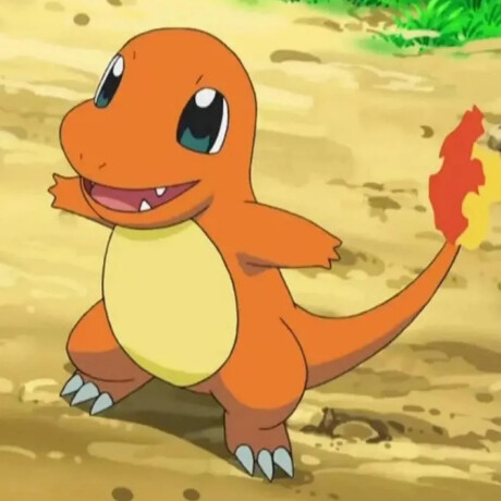 Charmander • Pokemon - 455 Charmander • Pokemon - 455