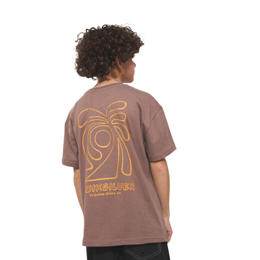 Remera Quiksilver Curve Palm niño - Marrón Remera Quiksilver Curve Palm niño - Marrón