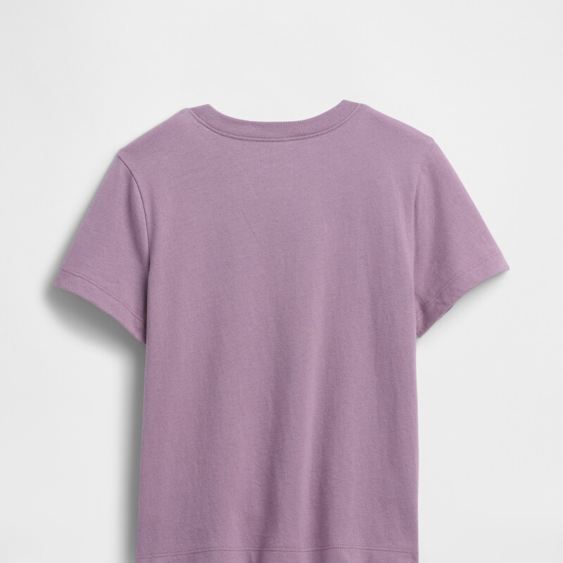 V-DISLOGO TEE SP DIS FAM AMETHYST2