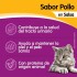 WHISKAS EN SALSA CAJA 12 UNIDADES POLLO