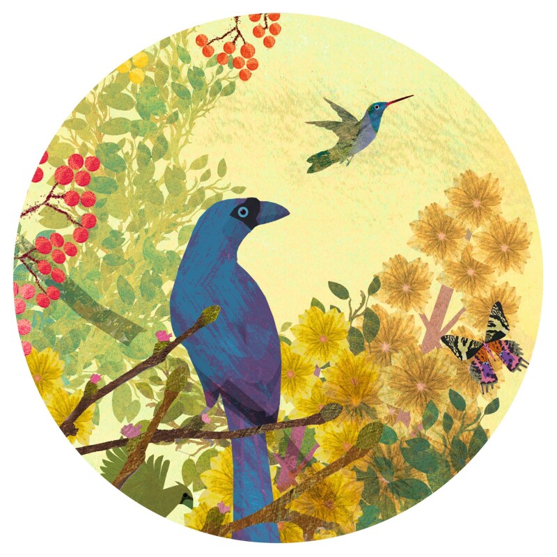 Puzzle Galería Pájaros Pacíficos 1000 piezas Djeco Puzzle Galería Pájaros Pacíficos 1000 piezas Djeco
