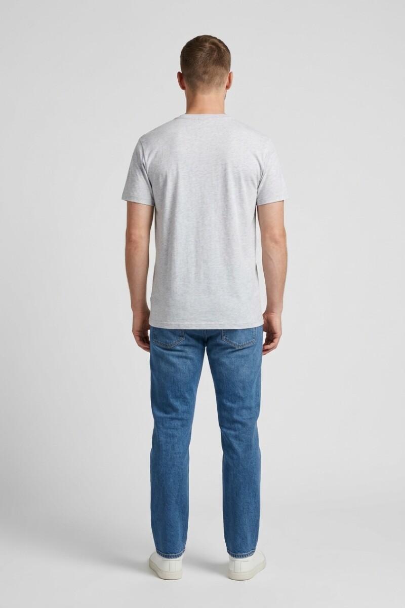 Camiseta estampada Águila GRIS MELANGE