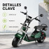Moto Eléctrica GoGreen Adventure 2000W 20Ah R12 55km/h Verde