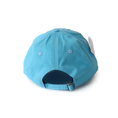 Gorro Thrasher Flame Logo - Celeste Gorro Thrasher Flame Logo - Celeste