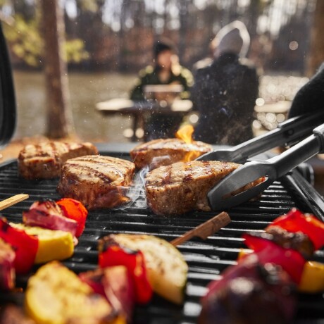 Barbacoa a Gas Portátil Weber Traveler Compact Plegable Negra Barbacoa a Gas Portátil Weber Traveler Compact Plegable Negra