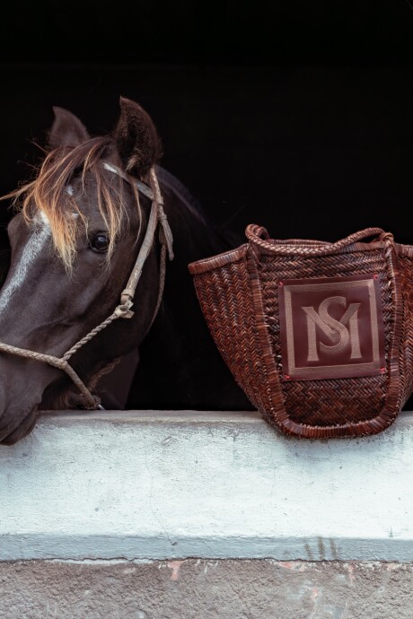 Medium Manea Handbag Chocolate