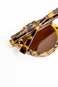 Lentes De Sol Polarizados Carey