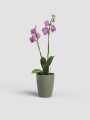 MACETA PARA ORQUÍDEA P12 VARAS RECTAS VERDE