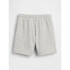 JPN IE LOGO SHORT SPR B08-002